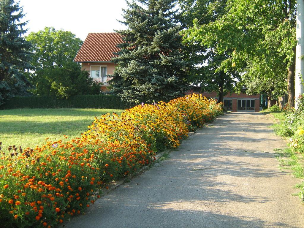 Apartments Domacinstvo Nikolic Valjevo Exterior foto